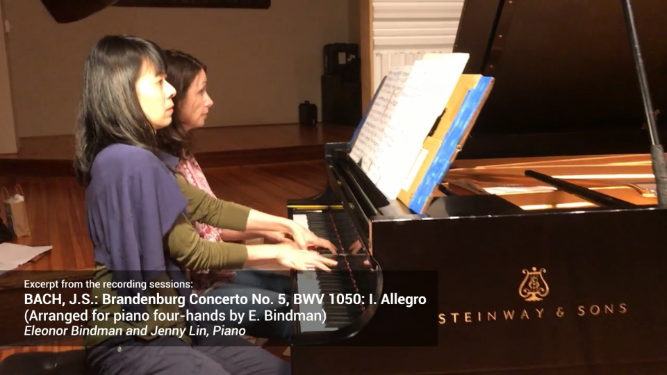 BrandenburgDuets-Howwerethepolyphoniclinescapturedinthesearrangements?